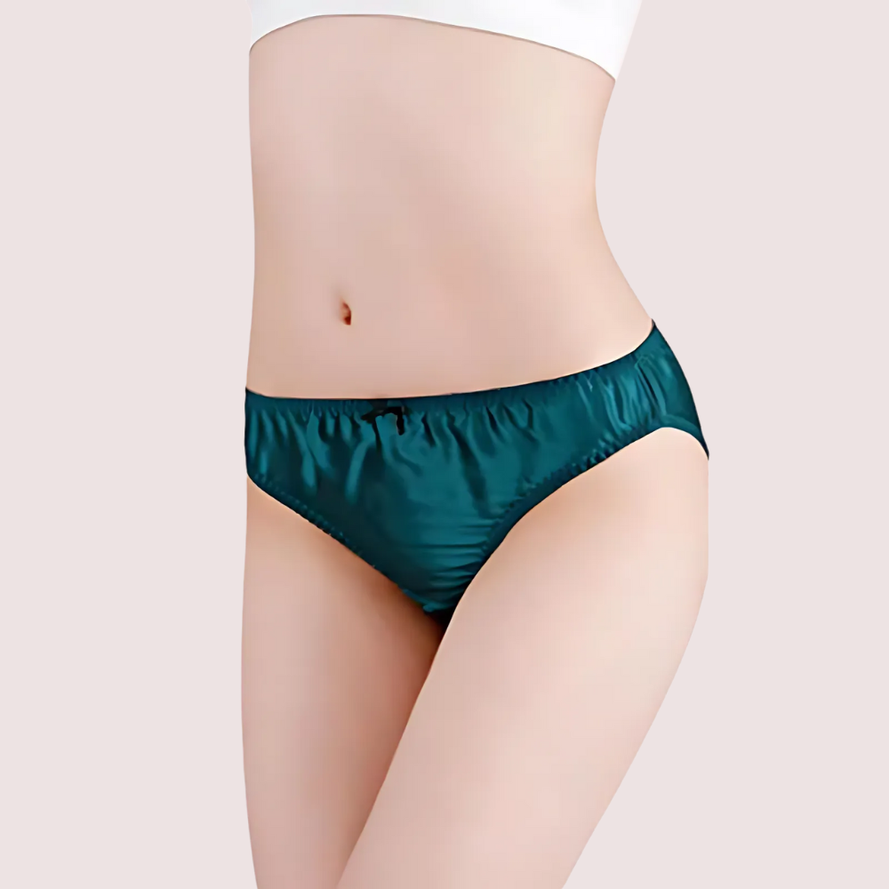 French Daina Ultra Luxury Silk Satin Lace Briefs Gift Box image 5